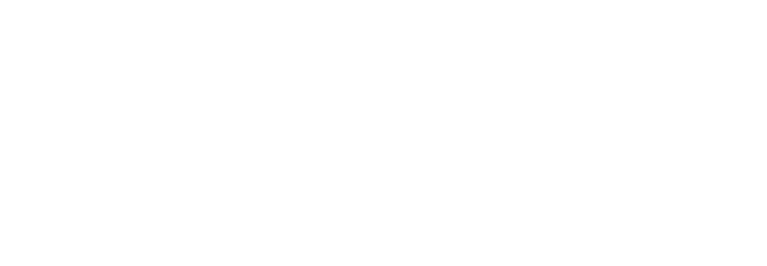 Mars Rovers